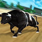 Angry Bull Racing