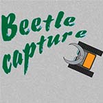 Beetle Capture