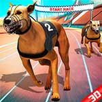 Crazy Dog Racing 2020