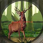 Deer Hunter