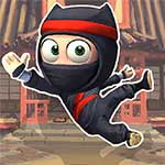 Super Ninja Adventure